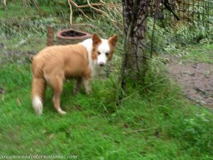 Camera photos 094